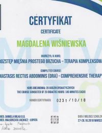 Diastasis Rectus Abdominis Dra Comprehensive Therapy