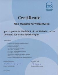 Module I of The Bebo Course Woman for a Certified Therapist